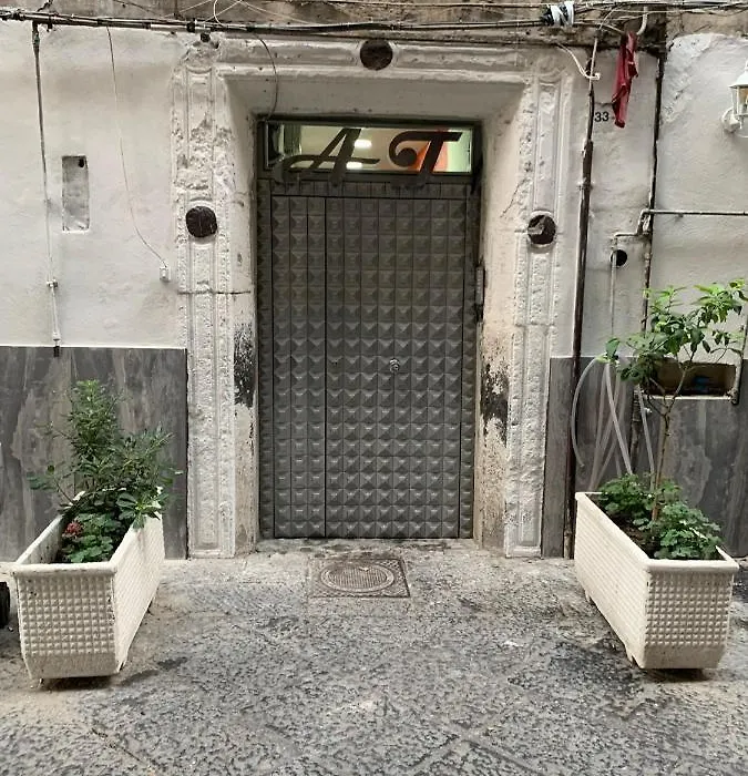Ciko Home-1